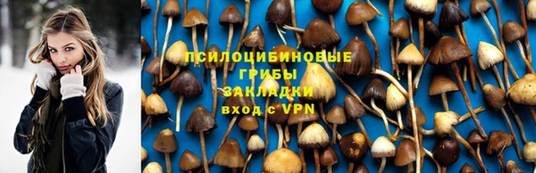 спайс Верея