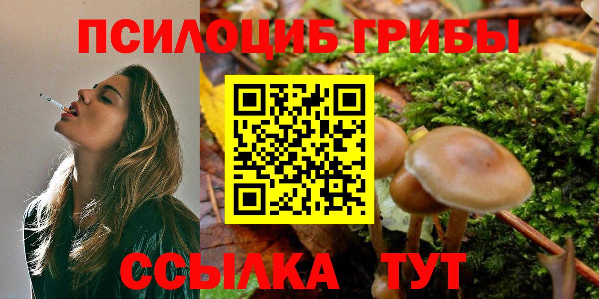 дарнет шоп  Галлюциногенные грибы MAGIC MUSHROOMS  Вход с VPN  Северобайкальск 